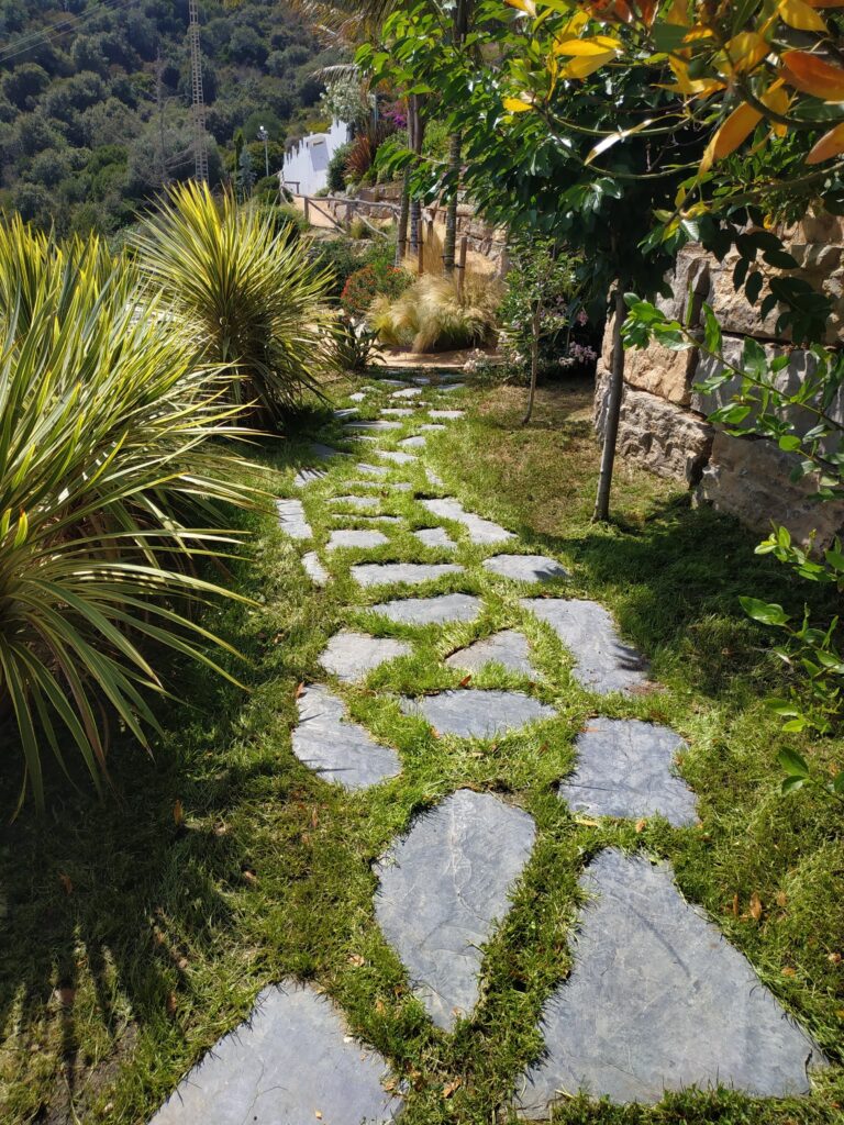 Plantas mediterráneas, lavandas y hierbas aromáticas en un camino de piedras. Un oasis natural donde la naturaleza y los aromas se entrelazan en nuestro diseño paisajístico.
