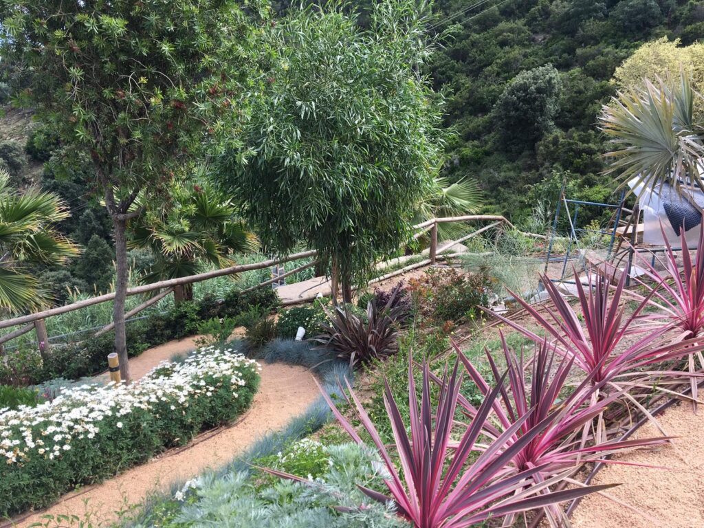 Plantas mediterráneas, lavandas y hierbas aromáticas en una rampa de piedras. Un oasis natural donde la naturaleza y los aromas se entrelazan en nuestro diseño paisajístico.