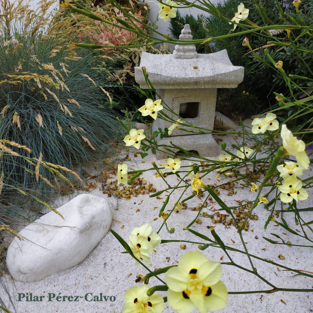 jardin japonés mediterráneo relajante con piedras y arena blanca