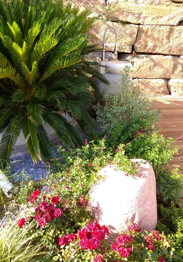 Lavamanos de roca diseñado por nuestra arquitecto del paisaje en medio de plantas mediterráneas como salvia y una palmera pequeña