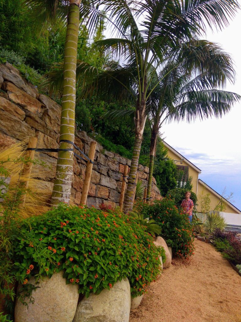 plantas exuberantes y una rampa de piedras se entrelazan con palmeras elegantes. Una visión detallada de nuestro diseño paisajístico, capturando la esencia de la naturaleza y la sofisticación en armonía