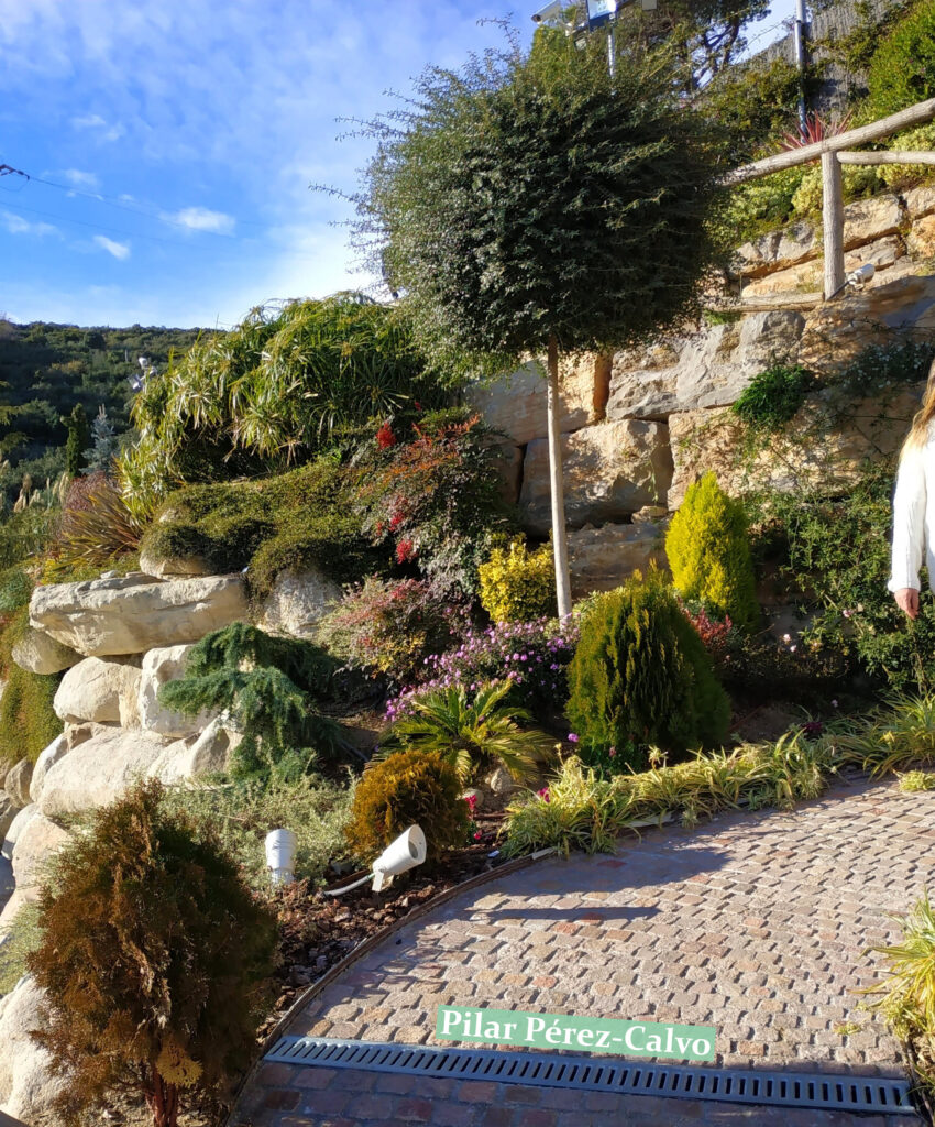 "Camino de piedras serpenteando a través de un hermoso diseño de paisajismo mediterráneo, resaltado por plantas diversas, entre las cuales destaca una delicada begonia."