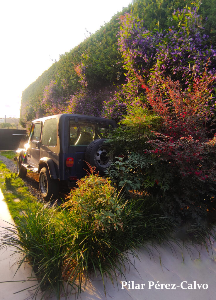 "Un rincón apacible del jardín mediterráneo de nuestro paisajista. El coche descansa en su plaza de aparcamiento, abrazado por hermosas plantas coloridas que le dan un toque encantador y vibrante al lugar."